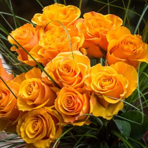 BOUQUET SONCE